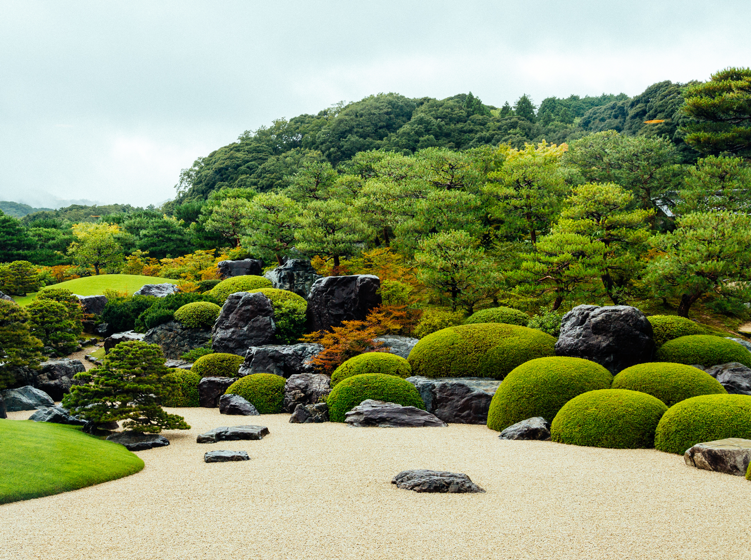 庭の画像