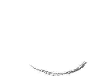 庭の漢字